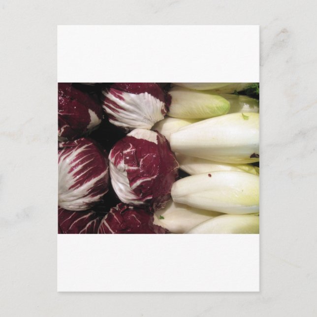 Carte Postale Belgique Endigo (Devant)