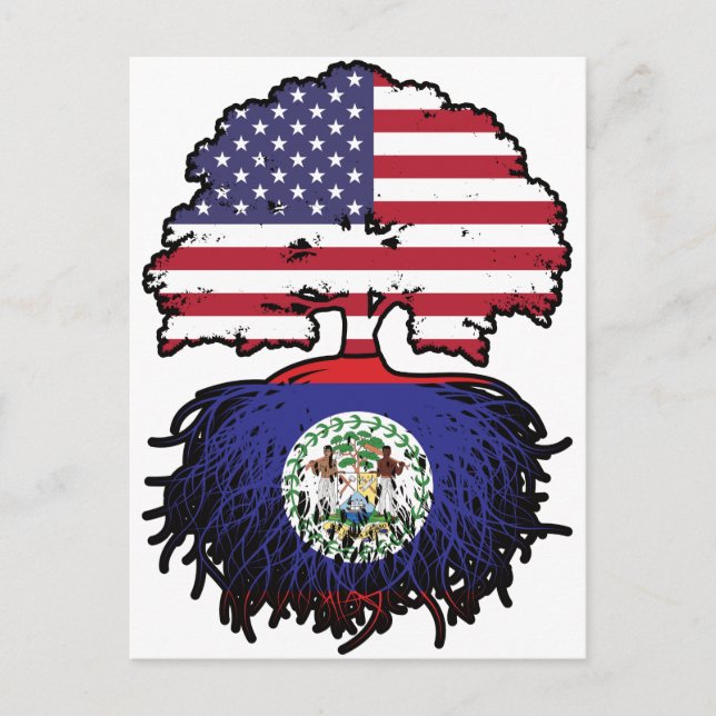 Carte Postale Belize Bélizien Américain États-Unis Arbre Racines (Devant)