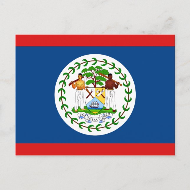 Carte postale Belize Flag (Devant)