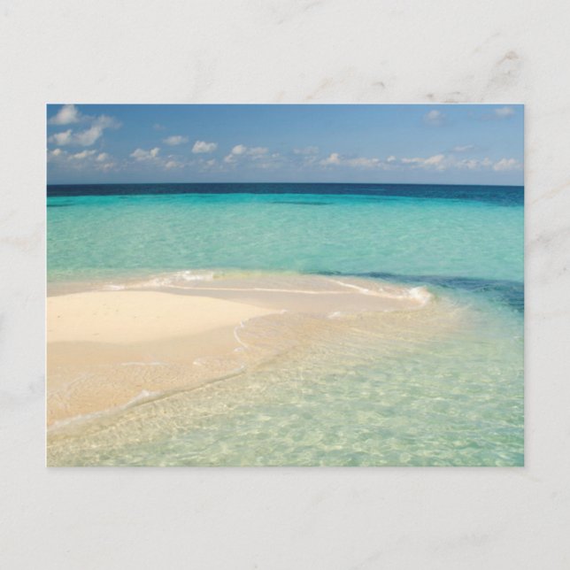 Carte Postale Belize, mer des Caraïbes. Goff Caye, Une Petite Îl (Devant)