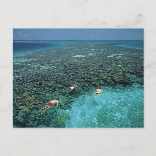 Carte Postale Belize, récif de la barrière, récif Lighthouse, bl (Devant)