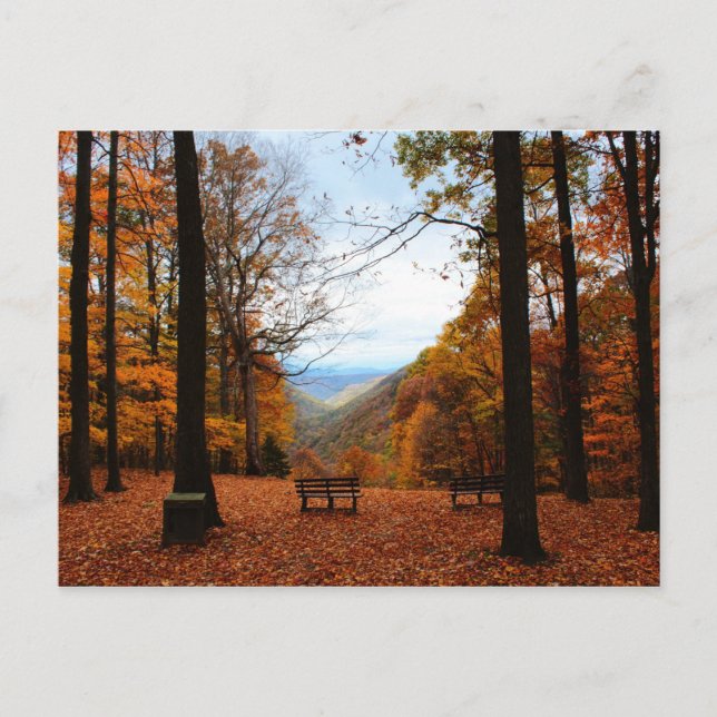 Carte Postale Belle automne (Devant)
