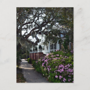 Carte Postale Belle Beaufort, Caroline du Sud