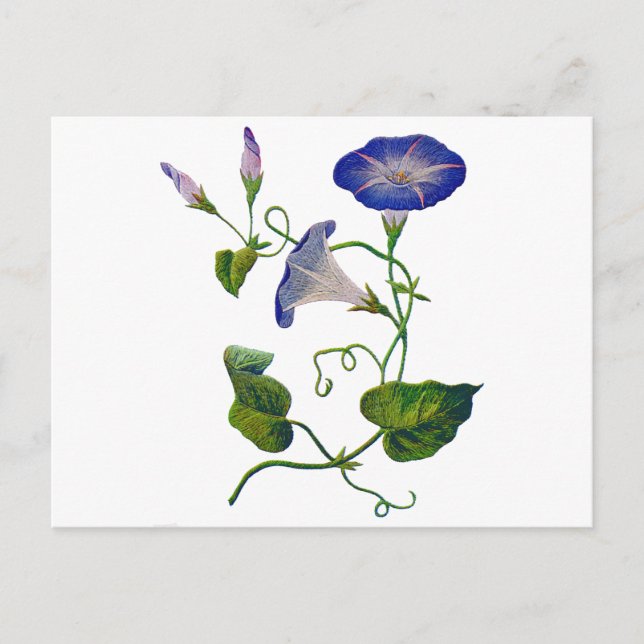 Carte Postale Belle Bleu Brodé Morning Glories (Devant)