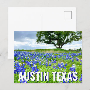 Carte Postale Belle Bluebonnets Austin Texas Photographie