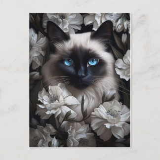 Carte Postale Belle Chat Birman Parmi Les Fleurs Blanches