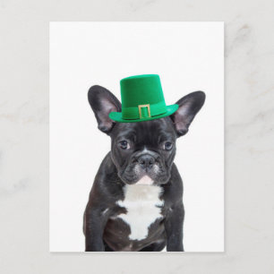 Carte Postale Belle Chien de taureau français avec la Saint-Patr