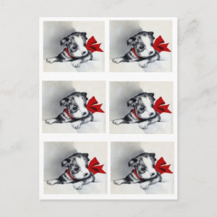 Carte Postale Belle Chiot Vintage Boston Terrier