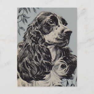 Carte Postale belle cocker spaniel