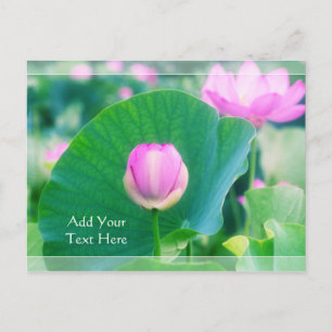 Carte Postale Belle fleurs rose Lotus Bud Fleur verte feuille