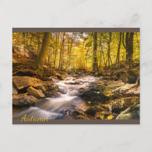 Carte Postale Belle forêt d'automne