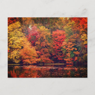 Carte Postale Belle forêt d'automne et lac