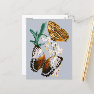 Carte Postale Belle illustration Vintage de papillon floral