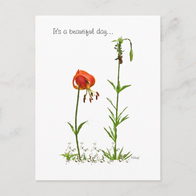 Carte Postale Belle Journée... (Devant)