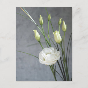Carte Postale Belle Lisianthus Fleurs Blanches
