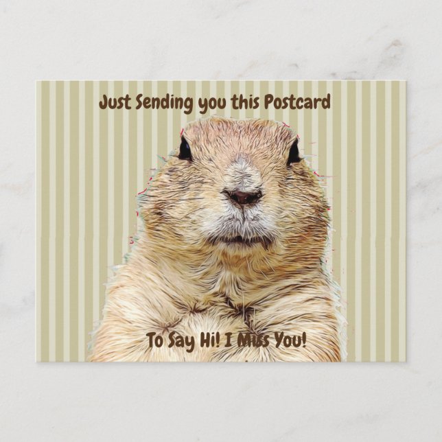 Carte Postale Belle Marmotte "Je TE Manque" Dit Bonjour (Devant)