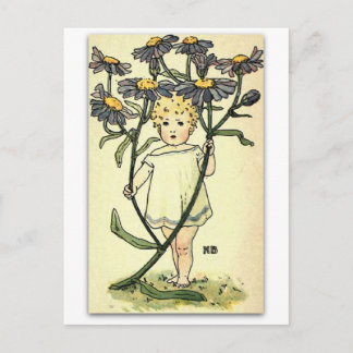 Carte Postale Belle Michaelmas Daisy par NELLIE BENSON