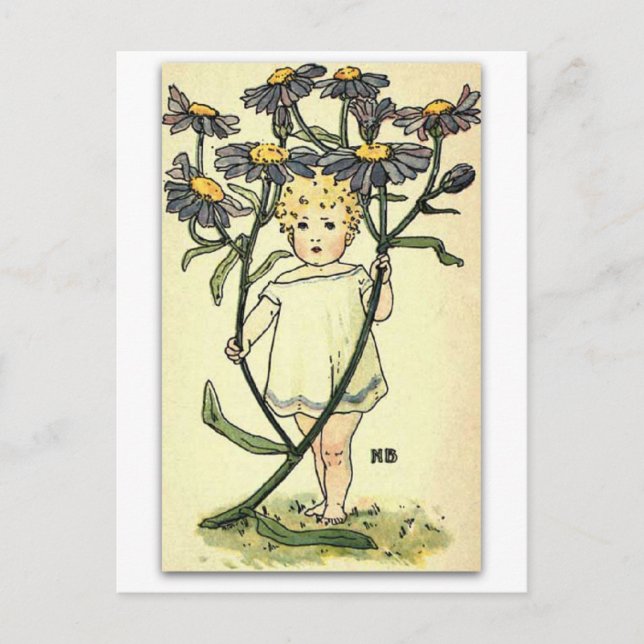 Carte Postale Belle Michaelmas Daisy par NELLIE BENSON (Devant)