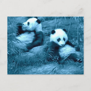 Carte Postale belle panda extraordinaire