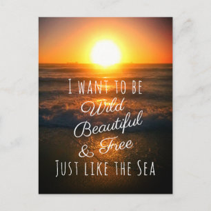 Carte Postale Belle plage sauvage et libre Sunset Beach Photo Ci