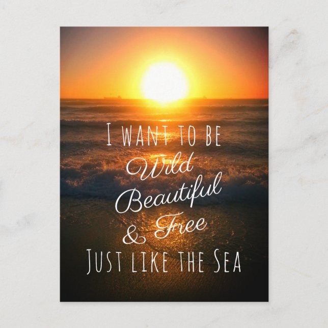 Carte Postale Belle plage sauvage et libre Sunset Beach Photo Ci (Devant)