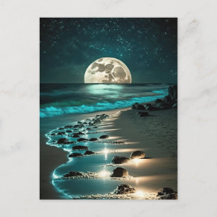 Carte Postale Belle Pleine lune Plage Océan étoile Nuit
