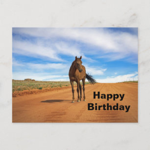 Carte Postale Belle route Brown Horse Photo Anniversaire