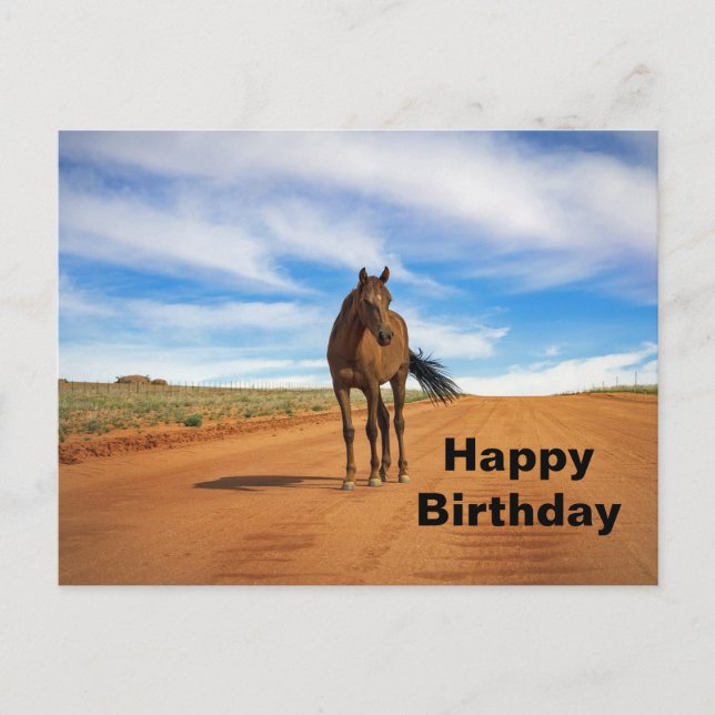 Carte Postale Belle route Brown Horse Photo Anniversaire (Devant)