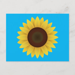 Carte Postale Belle tournesol d'été