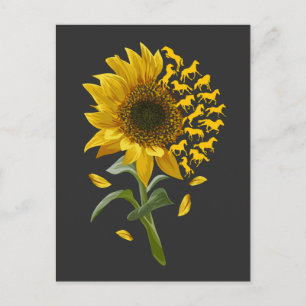 Carte Postale Belle Tournesol Horse Racing Fleur Equestrian