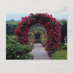 Carte Postale Belles arches Roses Escalades
