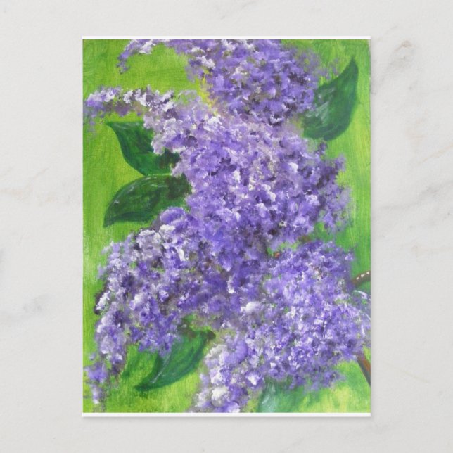 Carte Postale Belles Lilacs (Devant)