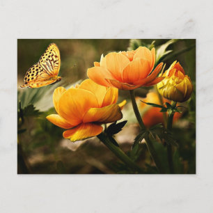 Carte Postale Belles pivoines et papillons
