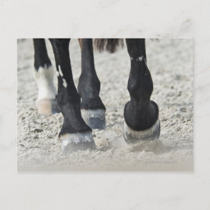 Carte Postale benalamadena costa, malaga, costa del sol, 2