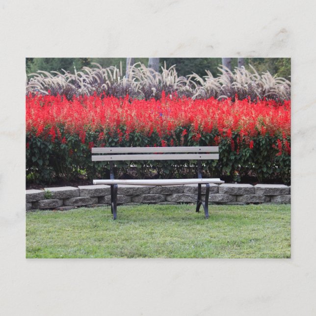 Carte Postale Bench Red Floral Photo (Devant)