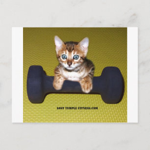 Carte Postale Bental Kitten avec Dumbbell jaune