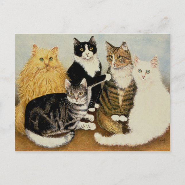 Carte Postale Berceau de chat (Devant)