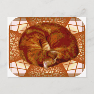 Carte Postale Berceau de chat