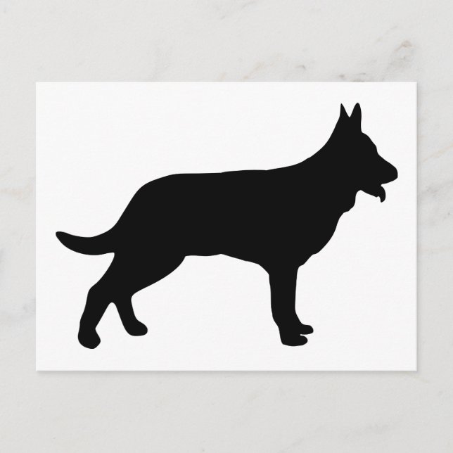 Carte Postale Berger (Devant)