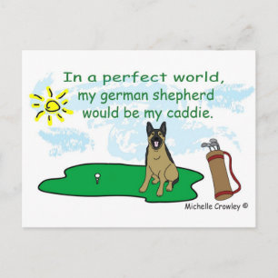 Carte Postale Berger allemand