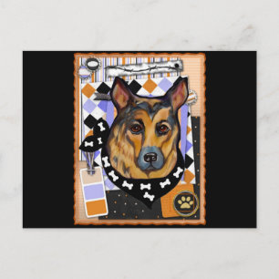 CARTE POSTALE BERGER ALLEMAND