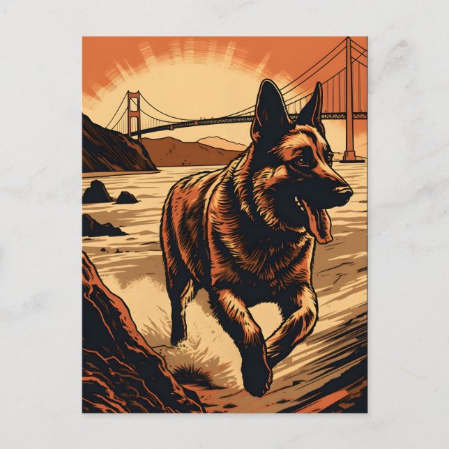 Carte Postale Berger-Allemand au pont du Golden Gate (Devant)
