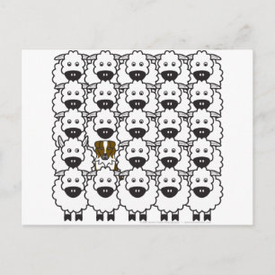 Carte Postale Berger australien dans le mouton