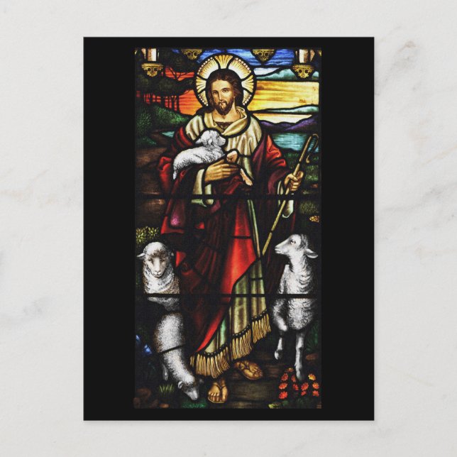 Carte Postale Berger et ses moutons StJohnsAshfiel (Devant)