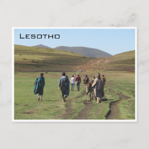 Carte Postale berger lesotho