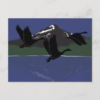 Carte Postale Bernaches du Canada volant au-dessus du Mountain L