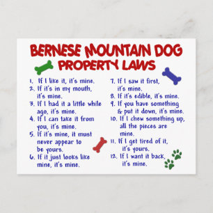 Carte Postale BERNESE MOUNTAIN DOG Propriété Lois 2
