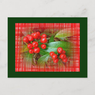 Carte Postale Berries à sucettes de miel sur tissu de coton