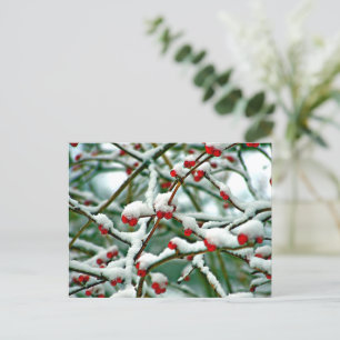 Carte Postale Berries rouges dans la neige (2025)