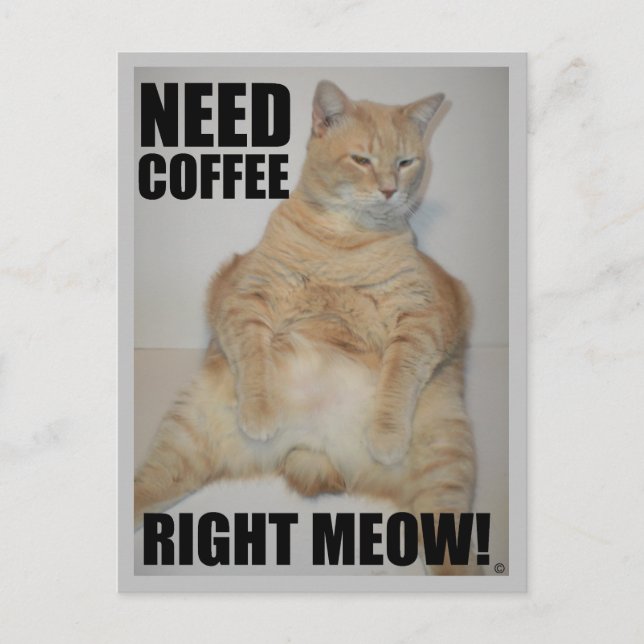 Carte Postale BESOIN DE CAFÉ DROITE ! Manx Chat assis drôle (Devant)